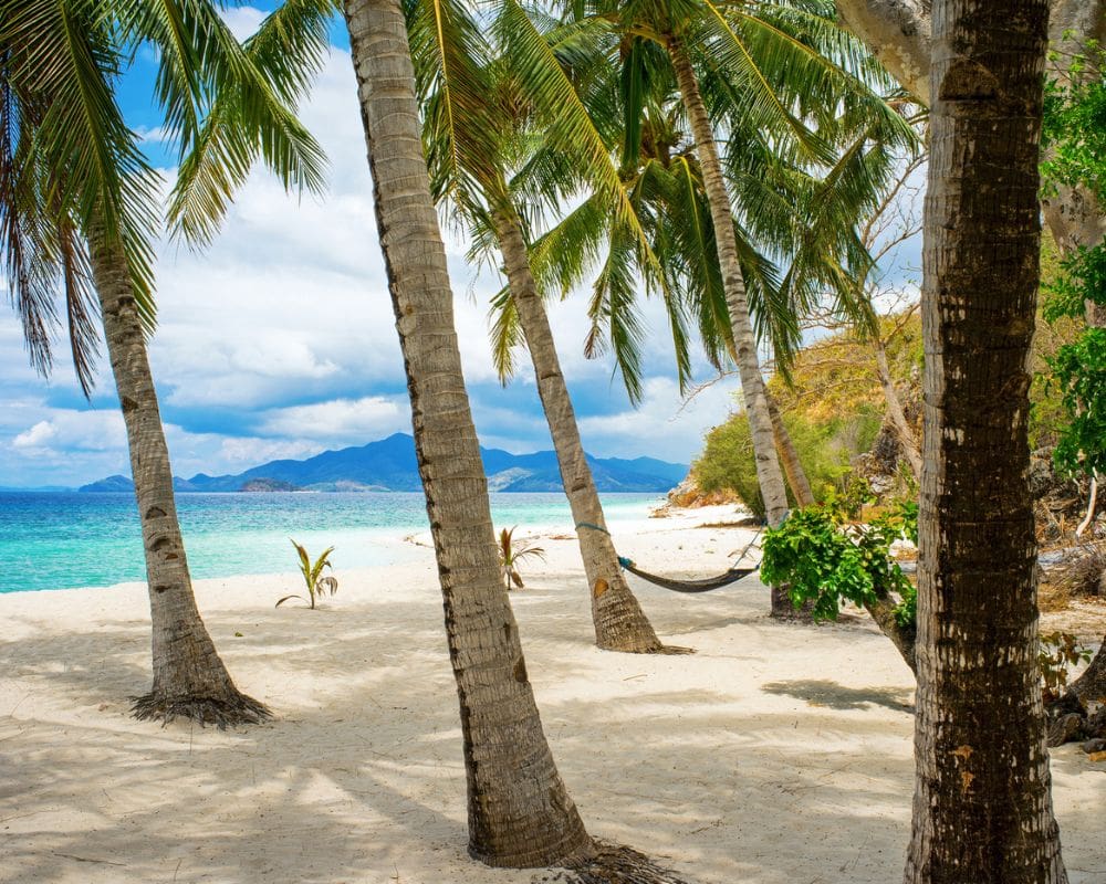 travel to palawan