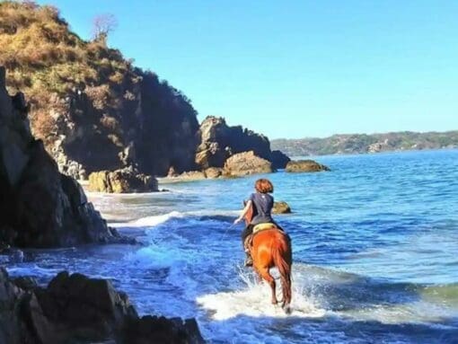sayulita horse riding
