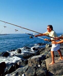 Cabo Surf Fishing Tour