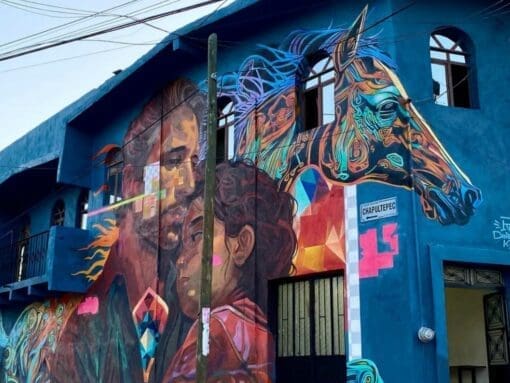 Mexico City Murals Tour