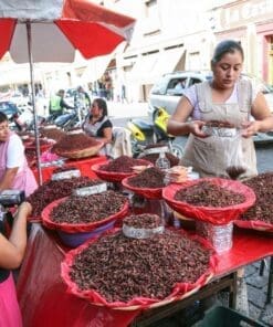 Oaxaca Markets Food Tour