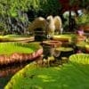 Puerto Vallarta Botanical Gardens Tour
