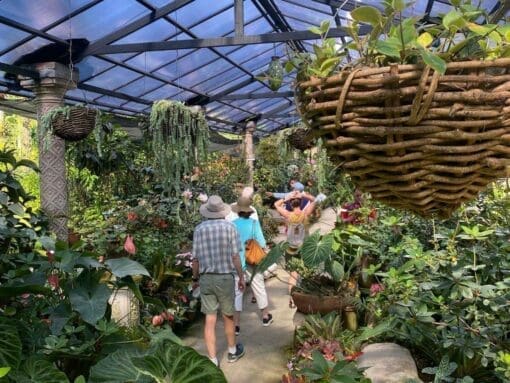 Puerto Vallarta Botanical Gardens Tour