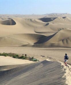 Day trip to Huacachina from Lima