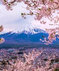 Japan Cherry Blossoms Tour 2025